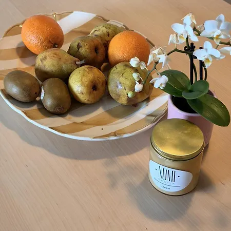 Avec Terrasse - Coeur De Vecchio Apartment