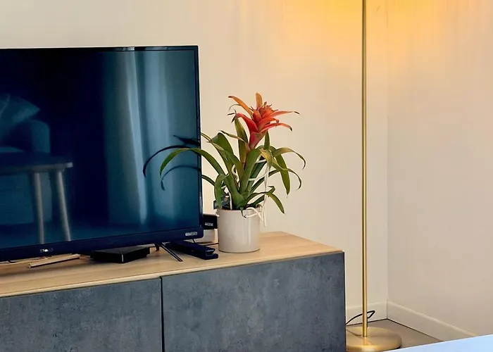 Avec Terrasse - Coeur De Vecchio Porto-Vecchio (Corsica)